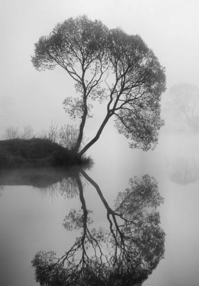 © Ansel Adams.      Through the water.., Ansel Adams Photos, Straight Photography, Gcse Photography, Black And White Landscape, Bw Photography, History Of Photography, Conceptual Photography, Photography 101, Photography Classes