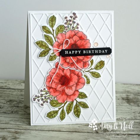 Rose Birthday, Stampin Up Birthday Cards, Cottage Rose, Rosé Birthday, Rose Cottage, Stamping Up Cards, Get Well Cards, Paper Pumpkin, Wild Roses