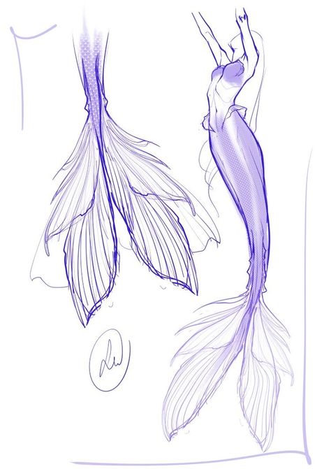 Mermaid Outfit Drawing, Mermaid Hair Drawing, Mermaid Reference, Mermaid Tail Drawing, Mermaid Concept, Drawing Mermaid, Mermaid Sketch, Mermaid Drawings, Siluete Umane