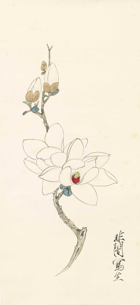 Magnolia Drawing, Mulan Tattoo, Chinese Magnolia, Magnolia Paint, Asian Flowers, Chinese Paintings, Magnolia Design, Asian Painting, 5 Elements