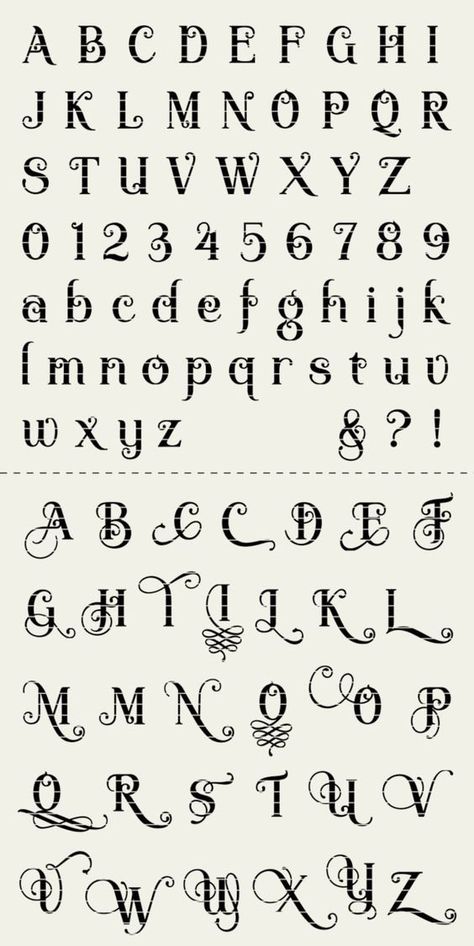 Fonts Fancy Curls, Fancy Fonts Alphabet, Hand Lettering Alphabet Fonts, Alfabet Font, Tattoo Fonts Alphabet, Calligraphy Fonts Alphabet, Fonts Handwriting Alphabet, Lettering Styles Alphabet, Fancy Writing