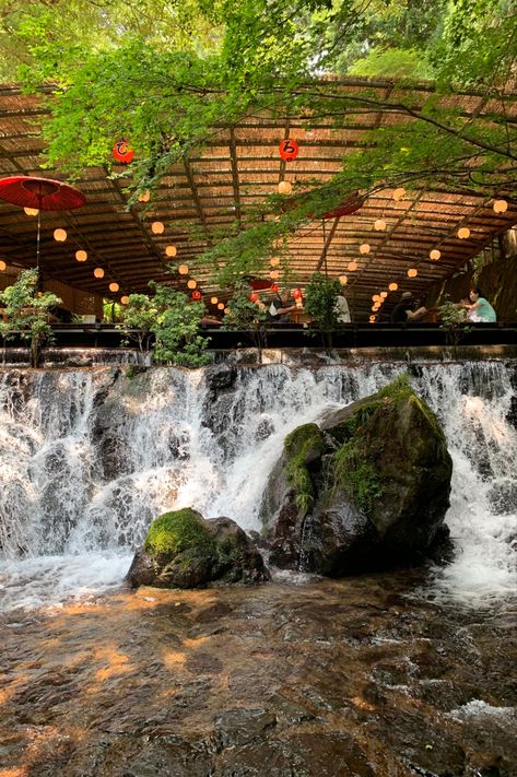 Waterfall Restaurant, Restaurant Waterfall, Bar Street, Mermaid Lagoon, Small Hotel, Hotel Lobby, Cardio, Kyoto, Mother Nature