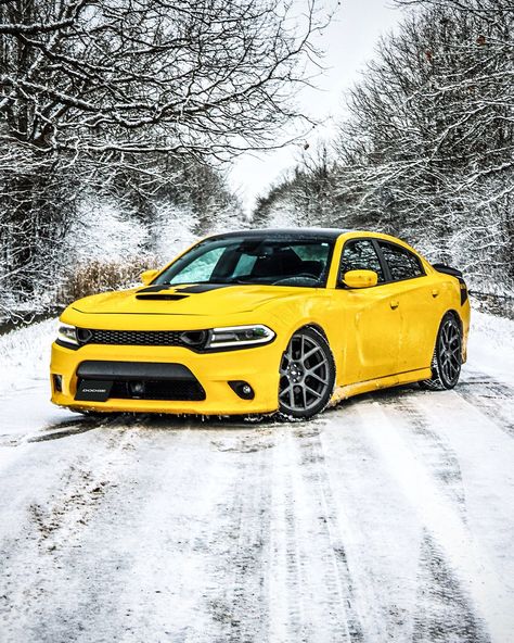 King Of Mopar 🏁🚗 on Twitter: "📸 Jacob P. https://t.co/6LiO4wqW4D" / Twitter Dodge Srt Hellcat, Hellcat Srt, Ram Trx, Dodge Charger Daytona, Dodge Srt, Charger Rt, Offroad 4x4, Srt Hellcat, Mopar Or No Car