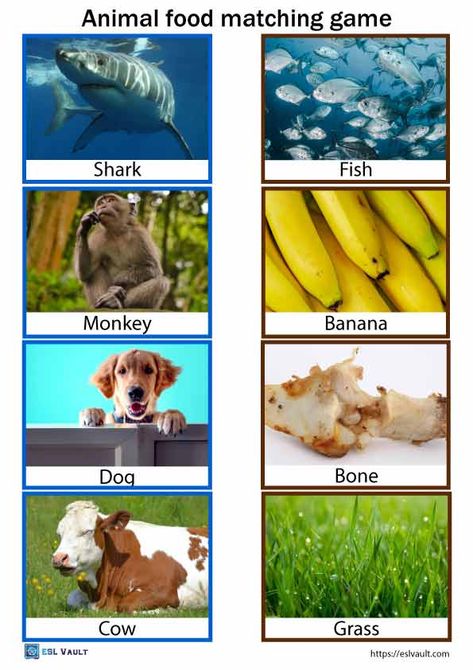 animal matching game Animals And Their Food Activities, Animals Eating Food, What Animals Eat Activities, What Do Animals Eat Activities, Food Matching Game, What Animals Eat, Zoo Animals Preschool Activities, Animals Name With Picture, Teaching Esl Students