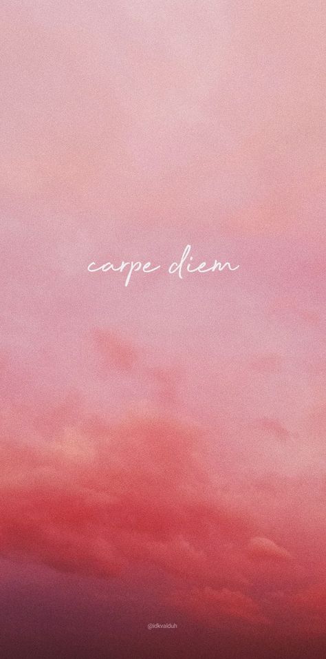 Pastel Pink Aesthetic Lockscreen, Carpe Diem Wallpaper Aesthetic, Latin Aesthetic Wallpaper, Carpe Diem Aesthetic, Carpe Diem Wallpaper, Latin Quotes, Kawaii Background, Hand Lettering Art, Iphone Lockscreen