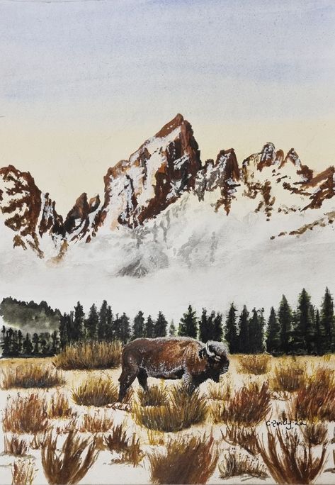 Yellowstone Drawing, Wyoming Painting, Montana Watercolor, Yellowstone Painting, Bison Drawing, Montana Painting, Bison Illustration, Bison Watercolor, Snowy Tundra