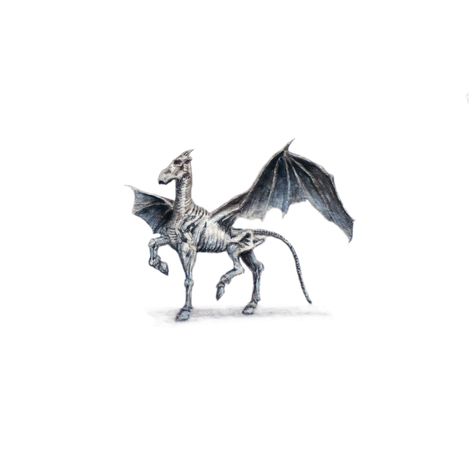 THESTRAL Thestral Tattoo, Harry Potter Tattoos, Luna Lovegood, Tattoo Placement, Tattoo You, Simplistic Tattoos, Fantastic Beasts, Mythical Creatures, Creative Inspiration