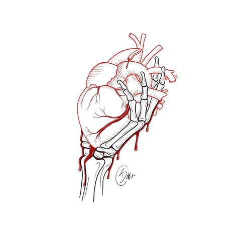 Skeleton Hand Holding Heart, Hand Holding A Heart, Hand Holding Tattoo, Hand Holding Heart, A Heart Tattoo, Realistic Heart Tattoo, Hand Holding Something, Skeleton Hand Holding, Heart Tattoo Design