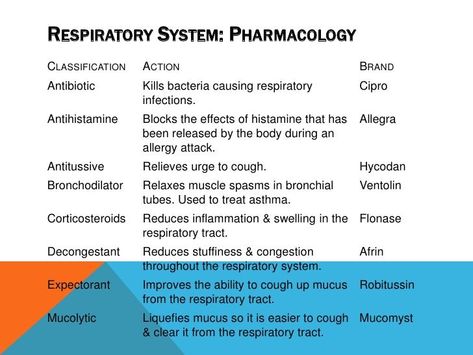 Respiratory Pharmacology, Upper Respiratory System, Respiratory Medications, Respiratory Therapist Student, Renal Physiology, Nursing Study Guide, Nurse Mom, Pharmacology Nursing, Nursing School Survival