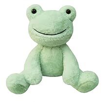 Sage Green Stuffed Animal, Plushies White Background, Stuffed Animal Packaging, Stuff Animals Cute, Weird Things To Buy, Cute Stuffed Animals Aesthetic, Green Birthday Gifts, Soft Toys Aesthetic, Frog Stuffie