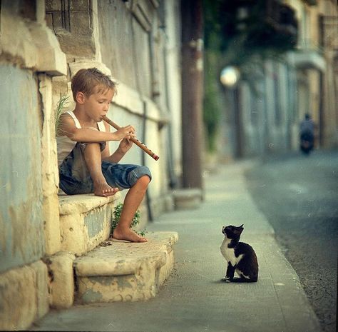 By Vladimir Zotov Cele Mai Drăguțe Animale, Foto Tips, Boys Playing, 귀여운 동물, Belle Photo, A Cat, Street Photography, Cats And Kittens, Feline