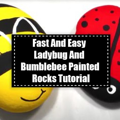 Fast And Easy Ladybug And Bumblebee Painted Rocks Tutorial art diy diy crafts do it yourself videos diy and crafts diy rock painting diy crafts for 2022 diy 2022 crafts diy ideas for 2022 Bumblebee Rock Painting, Bumblebee Painted Rocks, Paint Ladybugs, Ladybug Rocks Painted, Lady Bug Painted Rocks, Bee Rocks, Pipe Cleaner Animals, Ladybug Rocks, Flying Creatures