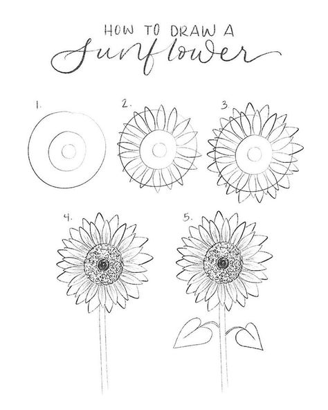 how-to-draw-a-sunflower-step-by-step-diy-tutorial-simple-drawing-ideas-white-background Sunflower Doodle, Draw A Sunflower, Easy Butterfly Drawing, Doodle Canvas, Cute Flower Drawing, Simple Flower Drawing, Easy Flower Drawings, Sunflower Drawing, Easy Drawing Steps