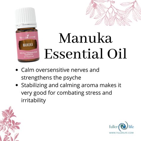 Manuka Essential Oil Benefits, Manuka Essential Oil, Manuka Oil, Yl Essential Oils, Essential Oil Benefits, Roller Ball, Oil Uses, Essential Oil Uses, Young Living Essential Oils