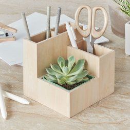 Plywood Office, Desktop Planter, Wood Organization, Sycamore Wood, Wooden Desk Organizer, Mini Cactus, Bed Shelves, Desk Supplies, Desktop Organizer