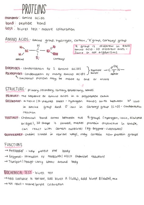 Protein Notes Biochemistry, Ap Bio Unit 1, Macromolecules Biology Notes, Medicine Notes Study, Protein Biology, Biochemistry Notes, Biology Revision, Things To Write, Study Biology