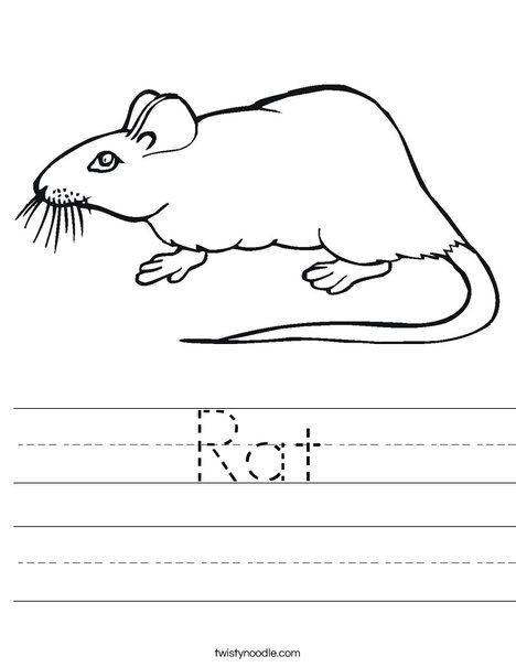 Rat Worksheet from TwistyNoodle.com Transportation Worksheet, Jungle Theme Classroom, Teaching Sight Words, Animal Worksheets, Holiday Lettering, Theme Classroom, Activity Books, Jungle Theme, Math For Kids