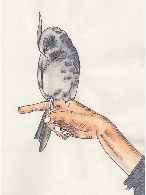 Bird On Finger, October Fashion, Two Fingers, Bird Art Print, Bird Perch, Drawing Board, Bird Art, Cover Art, Birds