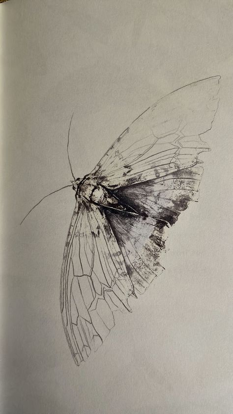 Illustrated moth iPhone wallpaper Moth Iphone Wallpaper, Moth Wallpaper Iphone, Robert Macfarlane, Moth Wallpaper, Jackie Morris, Moth Illustration, Cinematic Photography, Wallpaper Iphone, Moth