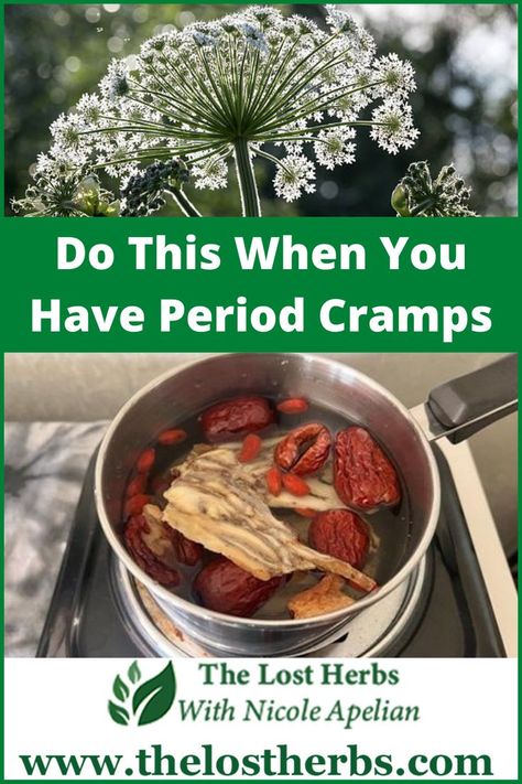 It’s not every day that you come across such a powerful plant. If you had to pick one single benefit, it’s the ability to tackle female problems. But there is one other, that is extremely good for both men and women: #periodcramps #herbalremedies #naturalremedies #period #femaleproblems #dongquai Dong Quai Benefits For Women, Dong Quai Benefits, Apothecary Pantry, Female Problems, Angelica Sinensis, Dong Quai, Period Cramps, Traditional Chinese Medicine, Chinese Medicine