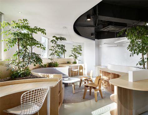 Chinese Office, Walls Design, Office Idea, Concrete Walls, Green Office, Creative Office, Hidden Garden, Design Del Prodotto, Scenic Beauty