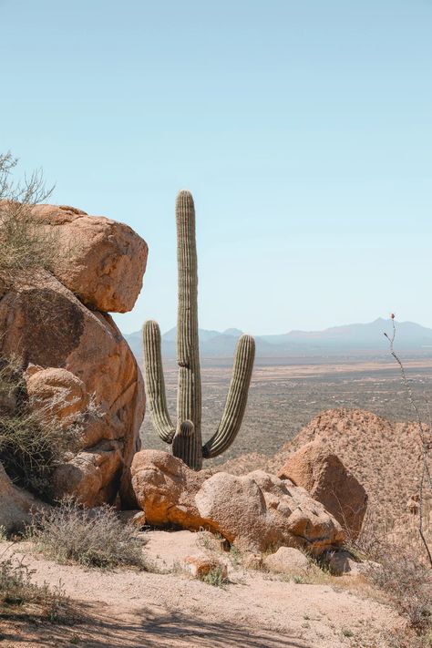 Desert Aesthetic, Desert Dunes, 8 Mile, Desert Photography, Wilde Westen, Desert Dream, Ghost Story, Desert Vibes, Santa Catalina