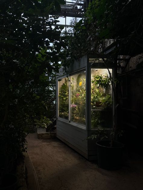 #greenhouse #conservatory #core Greenhouse Conservatory, Botanical Garden, Dark Aesthetic, Botanical Gardens, Moscow, At Night, The Old, Old Things