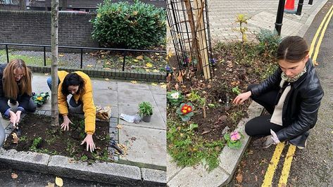 Why guerrilla gardening is solarpunk AF Solarpunk Garden, Gorilla Gardening, Solarpunk Art, Solarpunk Aesthetic, Guerilla Gardening, Solar Punk, Guerrilla Gardening, Environmentally Friendly Living, Public Place