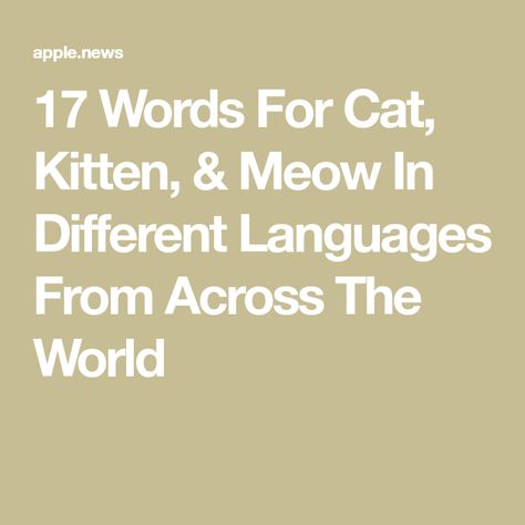 17 Words For Cat, Kitten, & Meow In Different Languages From Across The World Other Languages, Different Languages, Read More, Kittens, The World