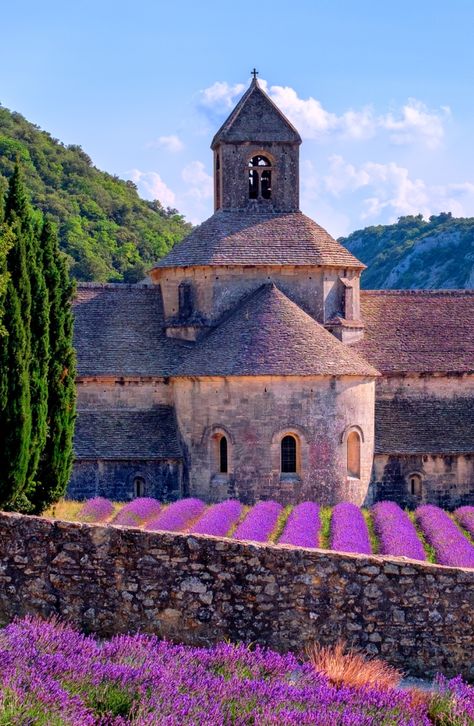 Summer in Provence is bursting with colour and fragrance. The vibrant lavender fields are a dream and have become an iconic symbol of this region. Near the village of Gordes, you can find a spectacular scenery at the Abbey of Sénanque, a gem of Romanesque architecture. Whether you are a photographer or not, in front of this historical abbey lies probably one of the most beautiful bright purple lavender fields, that will definitely fascinate you. World Most Beautiful Place, Sainte Marie, The French Riviera, Southern Europe, Garden Painting, Provence France, Landscape Pictures, Travel Packages, Jolie Photo