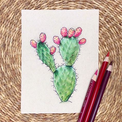 Prickly Pear Cactus Tattoo Traditional, Desert Flowers Drawing, Nopal Drawing, Prickly Pear Cactus Drawing, Prickly Pear Cactus Tattoo, Prickly Pear Tattoo, Sicilia Tattoo, Boat Painting Abstract, Pear Drawing