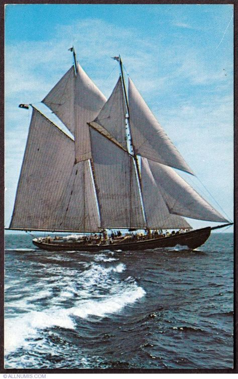 Bluenose Bluenose Schooner, Navi A Vela, Classic Sailing, Full Sail, Sailing Vessel, Boat Painting, Classic Boats, Sailing Yacht, Tall Ships