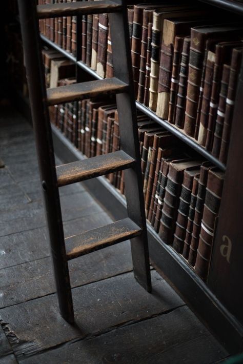 Ancient Runes, Dark Acadamia, The Book Thief, Dark Academia Aesthetic, Academia Aesthetic, Brown Aesthetic, Character Aesthetic, Book Aesthetic, Dark Academia