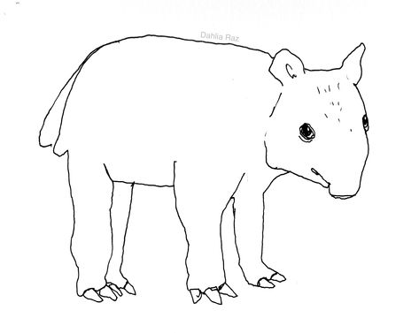 #tapir #tapirart #art #animalart #cuteanimalart #cuteanimal #cute Tapir Sketch, Tapir Drawing, Drawing Artist, Sketch Art, Surreal Art, Art Drawing, Dahlia, Animal Art, Surrealism