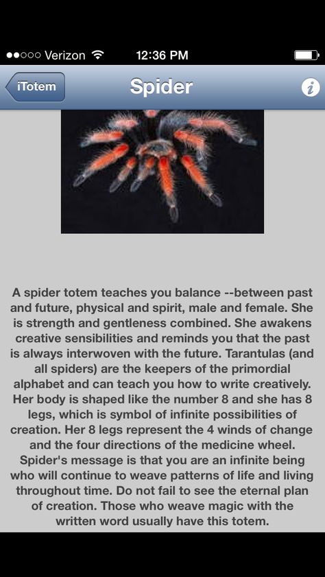 Meaning of spider totem, if you see spiders often read this Spider Totem Meaning, Spider Omen Meaning, Spider Symbolism Meaning, Seeing Spiders Meaning, Spider Spirit Animal, Spider Spiritual Meaning, Spider Medicine, Spider Meaning, Spider Symbolism