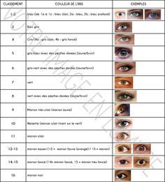 Classement couleur des yeux selon Martin-Schultz - Votre image en lumière Color Science, Blue Laser, Eyes Brown, Skin Complexion, Color Harmony, Bright Spring, Soft Summer, African Beauty, Girls Life