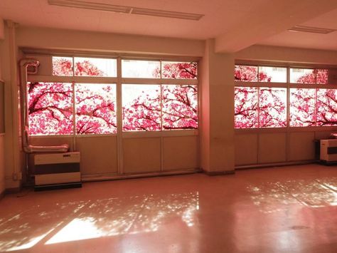 Beautiful Cherry Blossom Murals Made with Hand Prints  In Onahama Japan artist Yosuke Tan (aka untangle) visited the abandoned high school Iwaki Sogo which was scheduled to be demolished. This is how the project Okurie is born: this painter asked to graduated to participate to the mural fresco she was doing on the schools windows to remind their graduation. With 27 liters of painting she let them mark with their hands to compose the hundreds of flowers of a big pink cherry blossom.        #xemtvhay Window Mural, Japanese Home Decor, Stamped Concrete Patio, Spring Window, Hand Prints, Japanese School, Concrete Patio, Cherry Blossom Tree, Window Painting