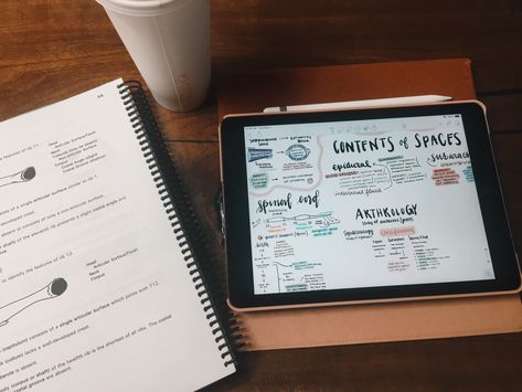 Studying is more interesting when you focus on the beauty of it! I am a chiropractic student at the fountainhead school, Palmer College of Chiropractic. I use Notability and love taking notes, drawing, and studying. It’s an ART. Chiropractic Student Aesthetic, Chiropractic Aesthetic, The Fountainhead, Notes Drawing, Palmer College Of Chiropractic, Student Aesthetic, Aesthetic Notes, Future Doctor, Taking Notes