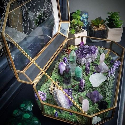 Terrarium Centerpieces, Crystal Room Decor, Crystal Room, Crystal Vibes, Crystal Garden, Deco Nature, Crystal Aesthetic, Witchy Crafts, Terrariums Kits