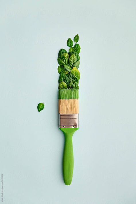 from : Stocksy United : Paintbrush with Leaves by Ruth Black Paint Brushes Photography, Ingredients Photography, Organic Skin Care Routine, Kindergarten Design, Graphisches Design, Paint Brush Art, Painting Brush, Photoshop Painting, Floral Border Design