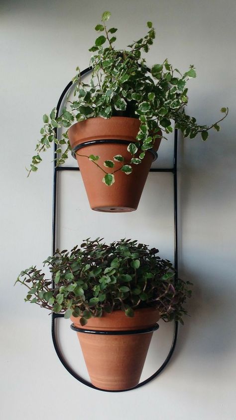 Indoor Mini Garden, Plant Stand Decor, Iron Trellis, Window Box Garden, Metal Sculptures Garden, Porch Plants, Cement Flower Pots, Garden Plant Stand, Lawn Care Tips