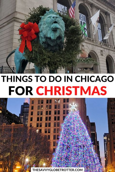 Chicago At Christmas, Chicago In Winter, Christmas Chicago, Christmas In Chicago, Chicago Christmas, Chicago Travel Guide, Chicago Vacation, Chicago Things To Do, Christmas Things To Do