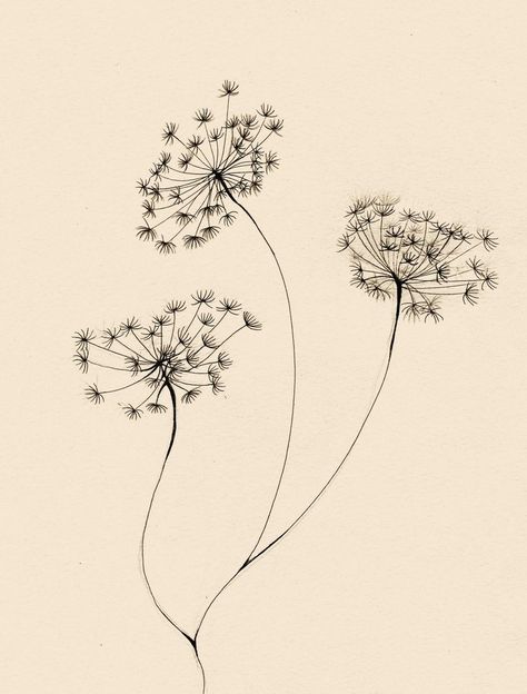 Cow Parsley Tattoo, Whispy Tattoos, Parsley Tattoo, Chloe Tattoo, Tattoo Hip, Zentangle Flowers, Birthday Doodle, Tattoo Flowers, New Tattoo Designs