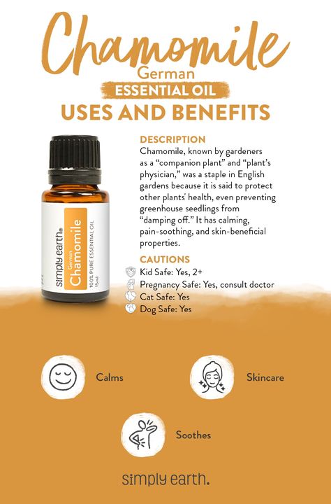 Chamomile Essential Oil Benefits, Ravensara Essential Oil, Earth Quick, German Chamomile Essential Oil, Perfume Blends, Diy Wellness, German Chamomile, Wellness Board, Esential Oils