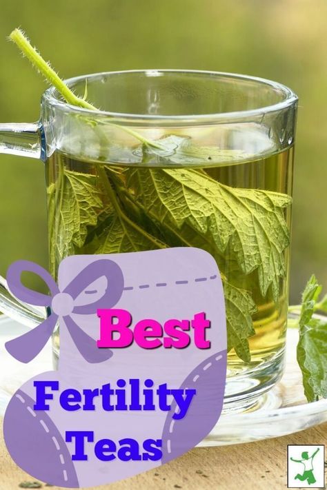 Fertility Herbs, Herbs For Fertility, Fertility Support, Fertility Tea, Fertility Boosters, Boost Fertility, Fertility Supplements, Best Herbal Tea, Fertility Health