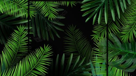 Palm Background, Ppt Background, Dark Nature, Slide Background, Powerpoint Background, Silver Fern, Leaf Background, Leaf Green, Google Slides Themes