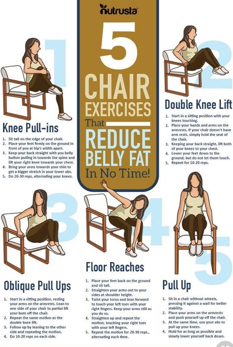 Gymnema Sylvestre, Seated Exercises, Chair Exercises, Ankle Injury, Chair Yoga, Mobility Exercises, Senior Health, Lower Belly, Beginner Workout