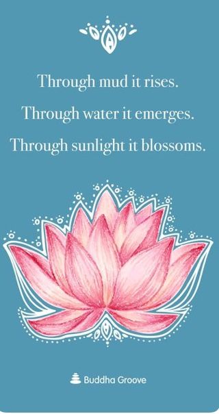 Ohm Art, Lotus Flower Quote, Lotusblume Tattoo, Flower Quote, Sanskrit Tattoo, Buddha Groove, Lotus Flower Art, The Lotus Flower, Lotus Tattoo