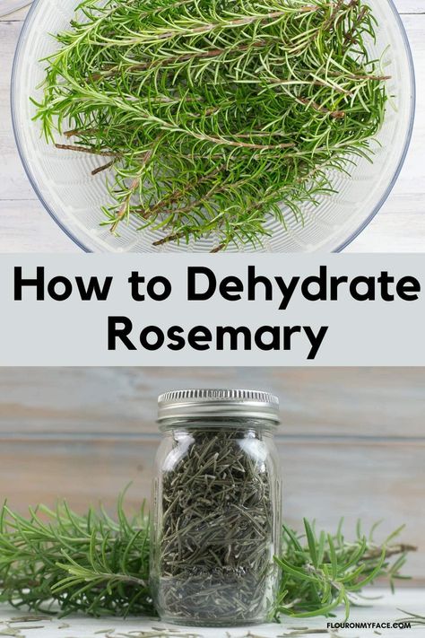 How to dehydrate fresh rosemary. Dry your own herbs and save hundreds of dollars a year. Dehydrate Rosemary, Dehydrating Recipes, Preserve Fresh Herbs, Dehydrating Food Storage, Herbs At Home, Drying Fresh Herbs, Mat Inspiration, Food Dehydration, Rosemary Herb