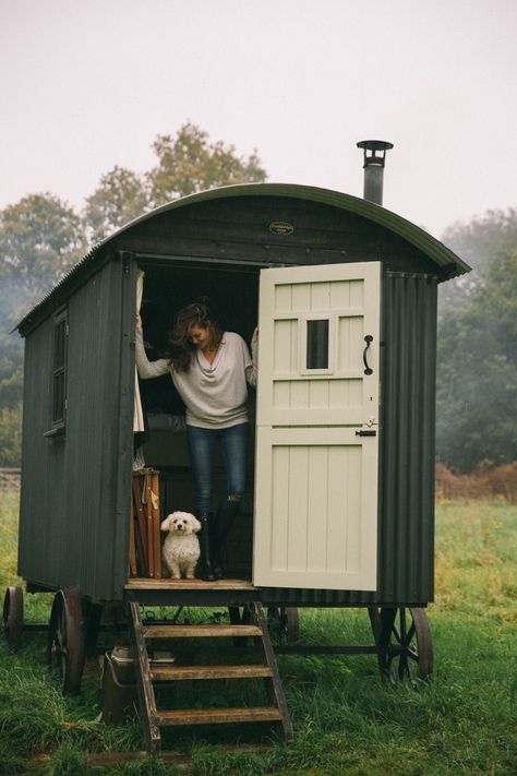 Shepherds Hut For Sale, Garden Huts, Eco Cabin, Shepherds Hut, Garden Buildings, Tiny House Living, Tiny Living, House On Wheels, Little House